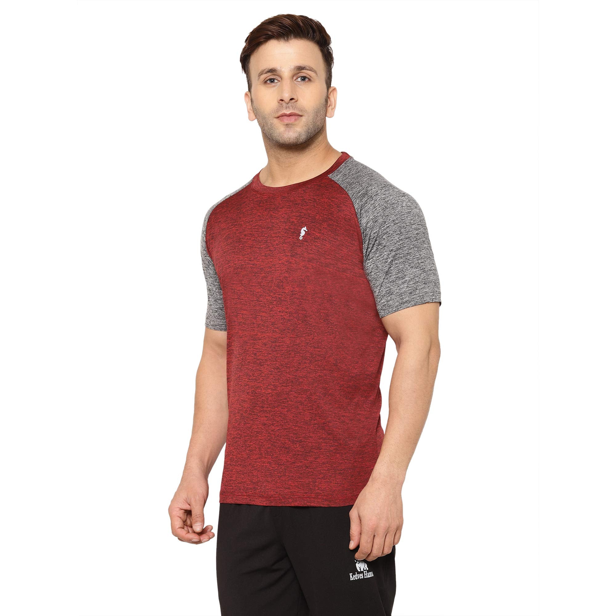 Eppe Men's Cationic Raglan T-Shirt – Wine & Grey